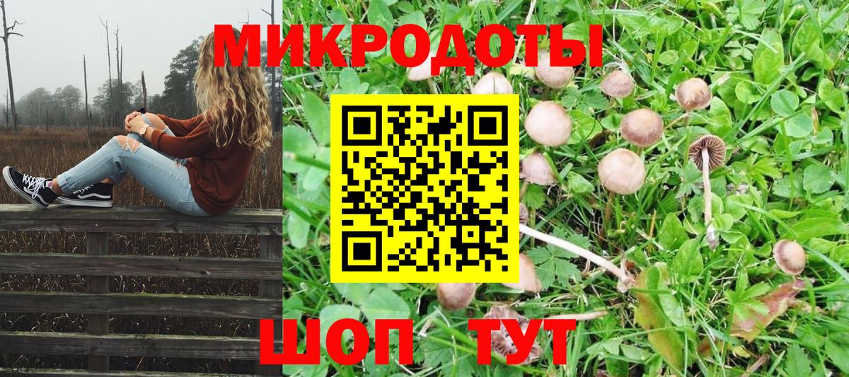 Галлюциногенные грибы Cubensis  наркошоп  Вход с VPN  Щёлково  Галлюциногенные грибы мухоморы 